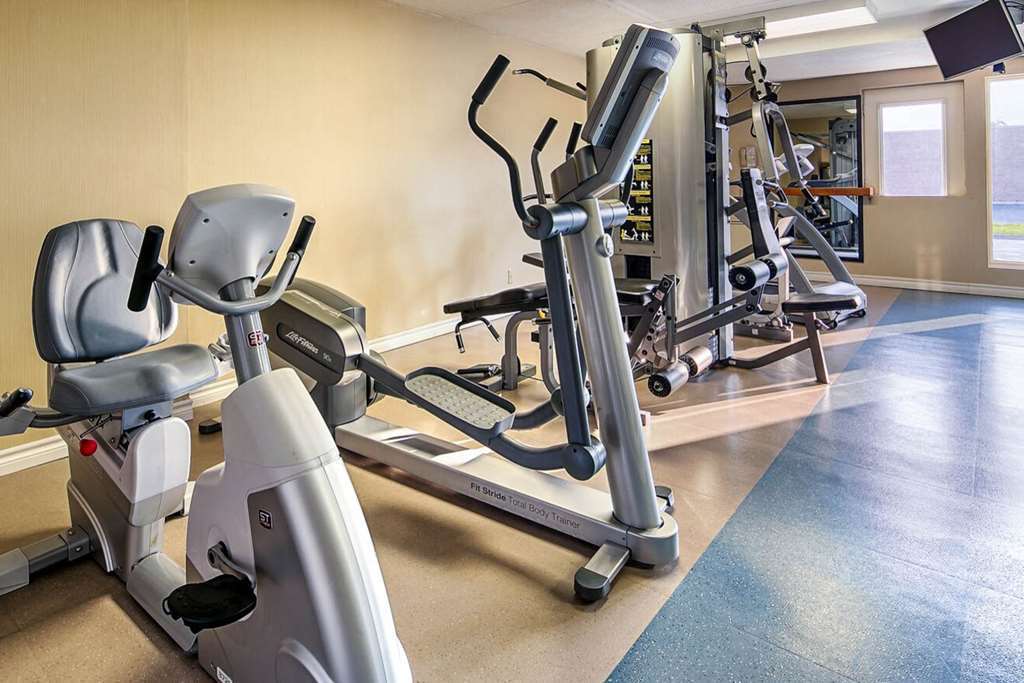 Quality Inn & Suites Brampton Servizi foto